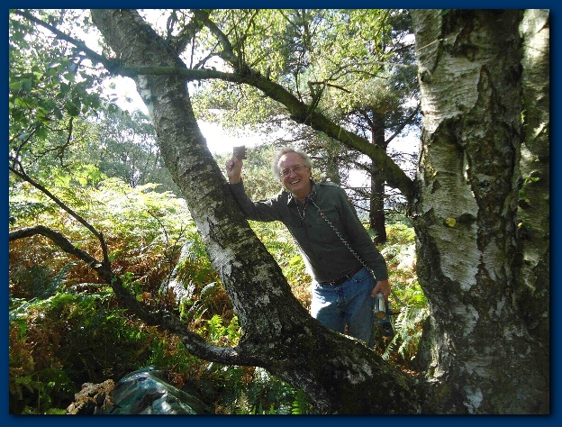 600x449 pixels (206K)